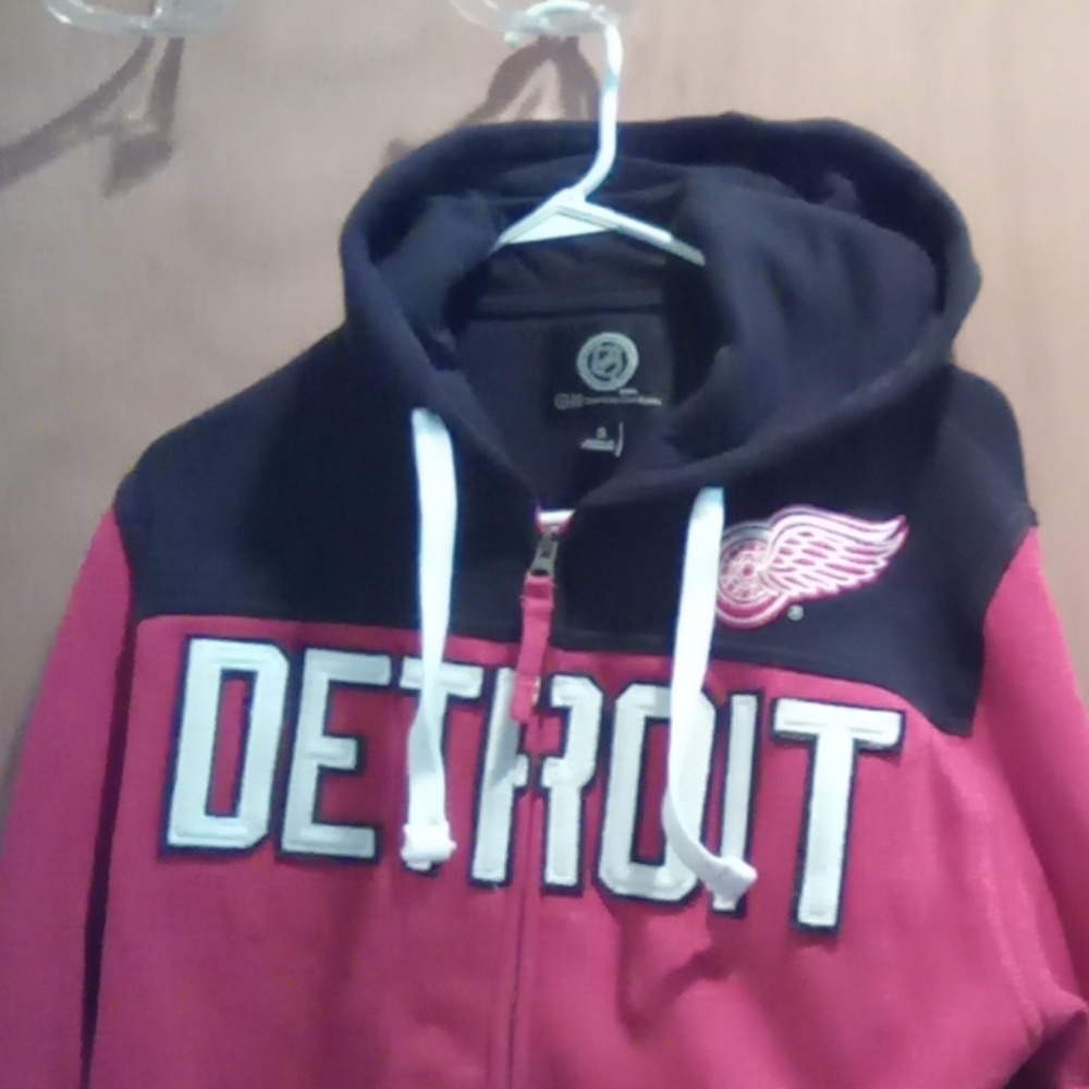 Detroit Redwings hockey hoodie (size small)